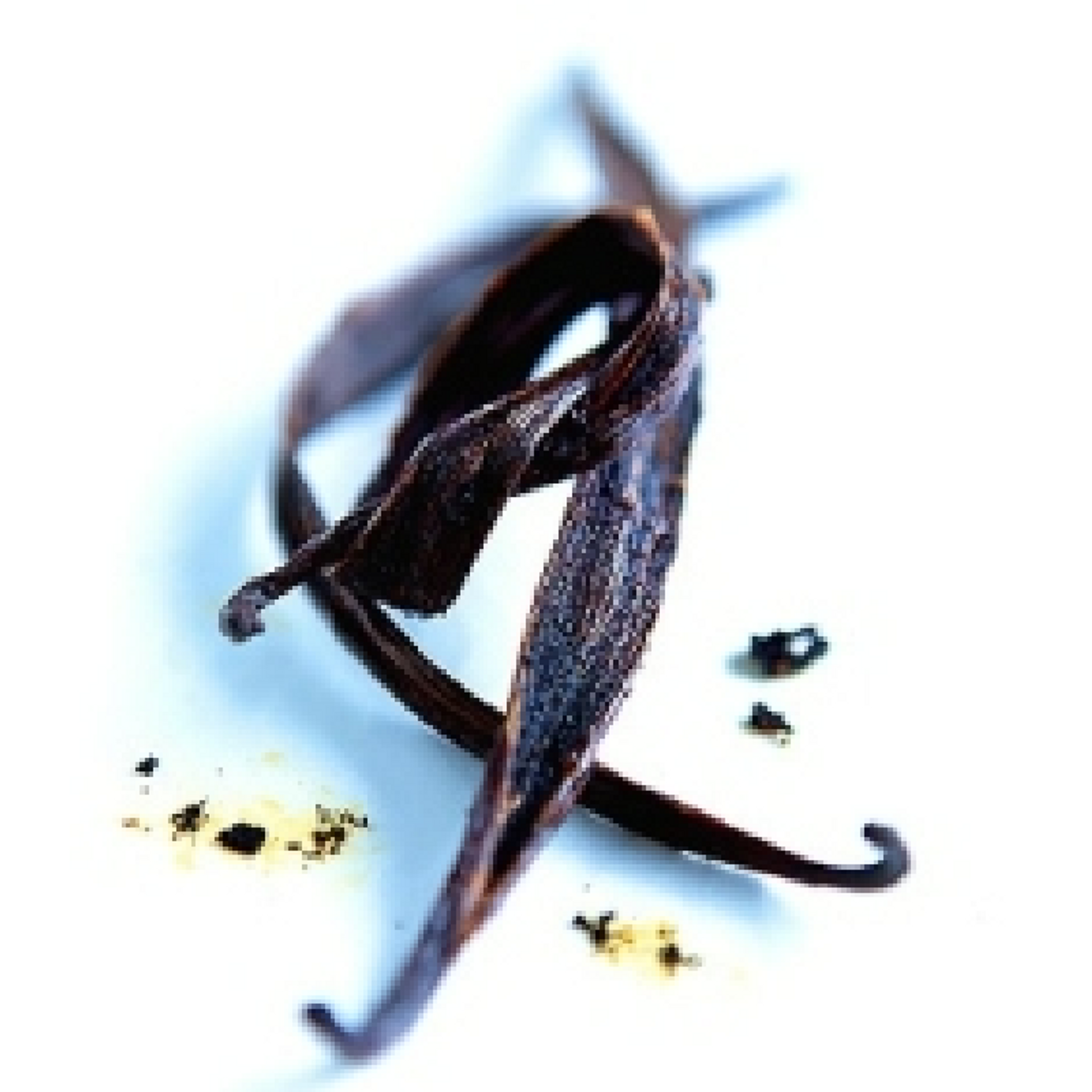 Vanilla Pods Fragrance Oil