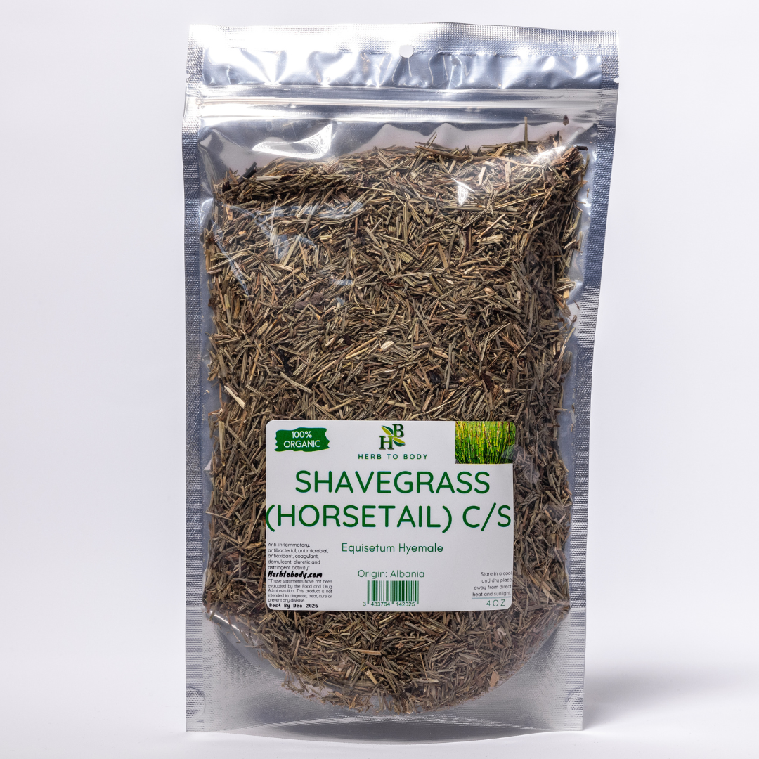 Shavegrass_Horsetail_1200x1200.png